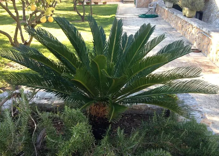 컨트리하우스 Terra Rossa *