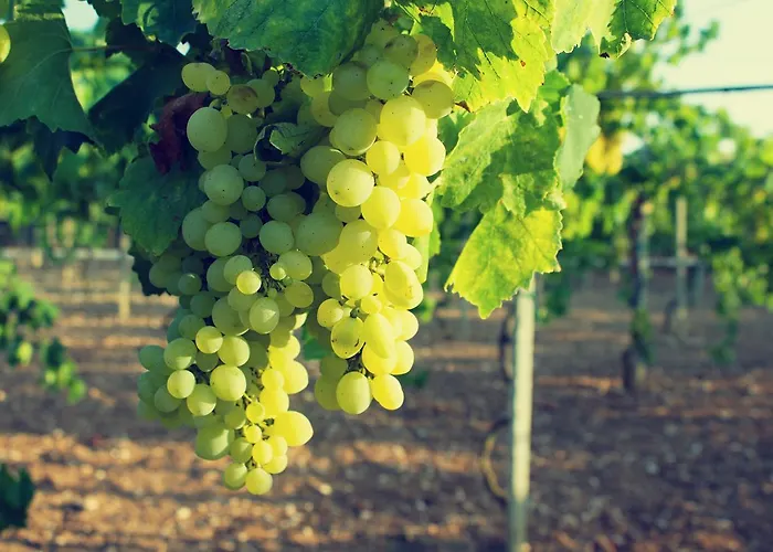 Terra Rossa 오트란토