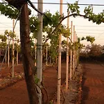 Terra Rossa * Otranto