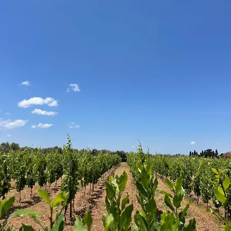 Terra Rossa Landsted