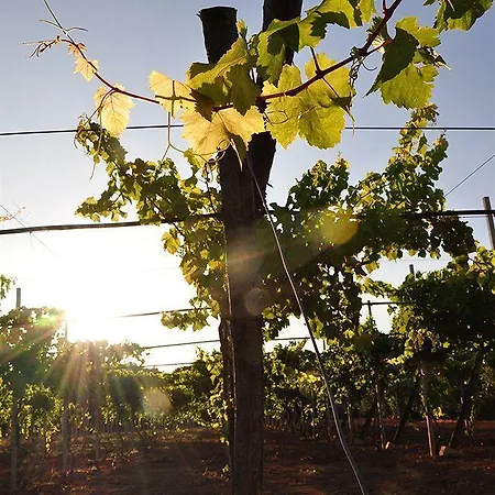 Casa de Campo Terra Rossa *