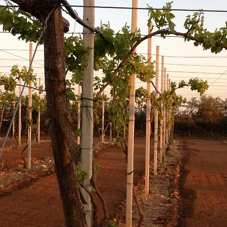 Terra Rossa * Отранто