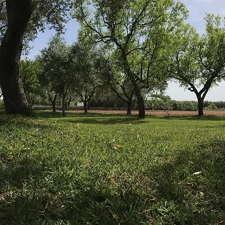 Terra Rossa * Отранто