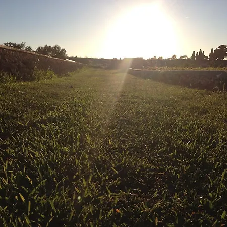 Landsted Terra Rossa