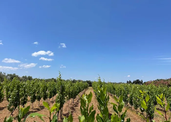 Terra Rossa Landsted