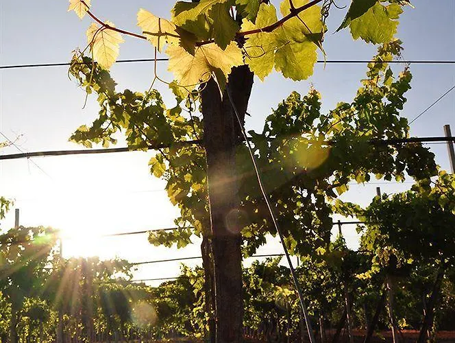 Landsted Terra Rossa *