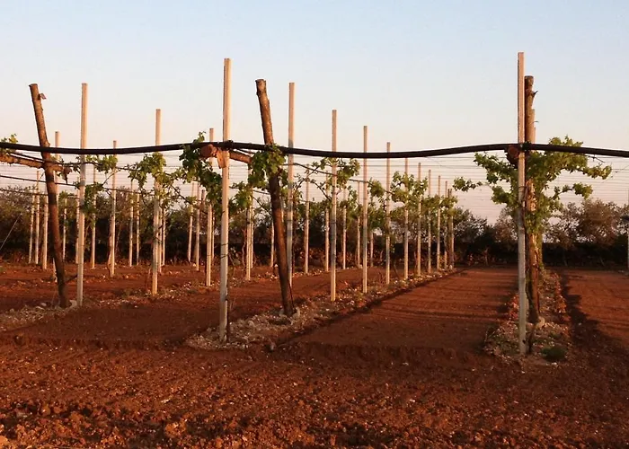 Terra Rossa Отранто