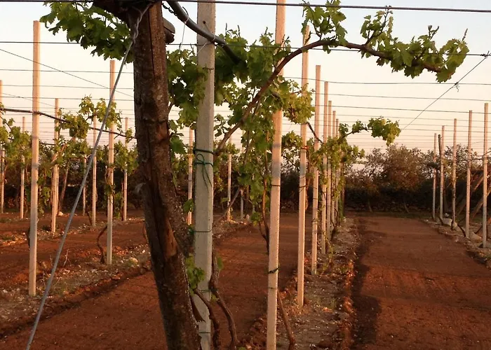 Terra Rossa * Отранто