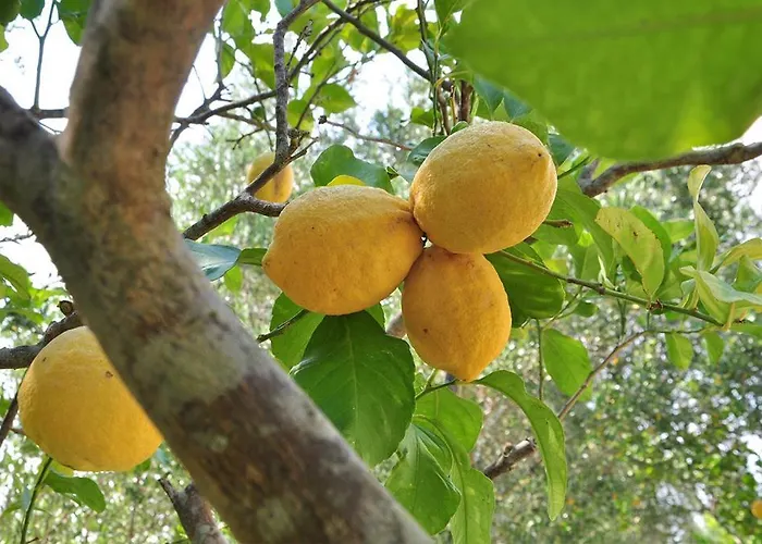 Terra Rossa Літній будинок Отранто