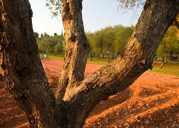 Terra Rossa Літній будинок